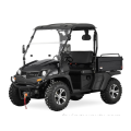 400CC EFI UTV NOIR COULEUR